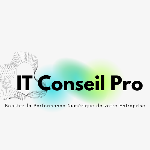 IT Conseil Pro