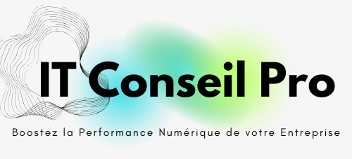 IT Conseil pour les PME/PMI
